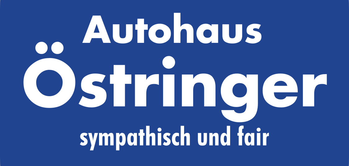 PROFI SERVICE WERKSTATT